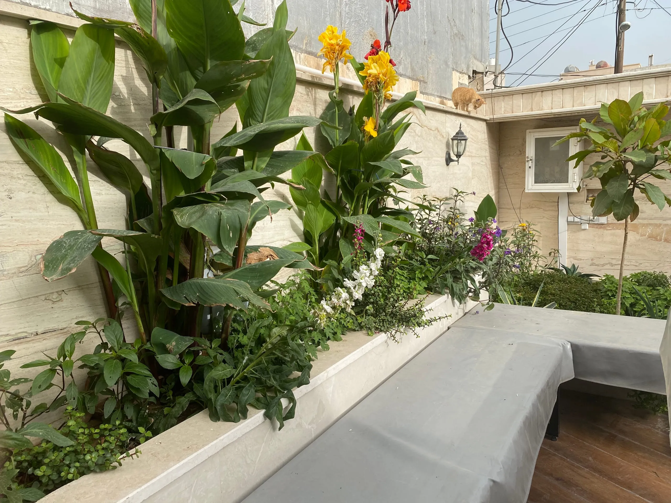 Golkhuneh Villa — Photo 15